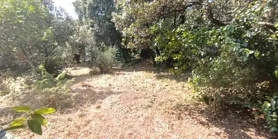 Terrain à bâtir, 1 000 m²