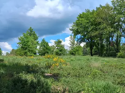 Terrain à bâtir, 1 545 m²