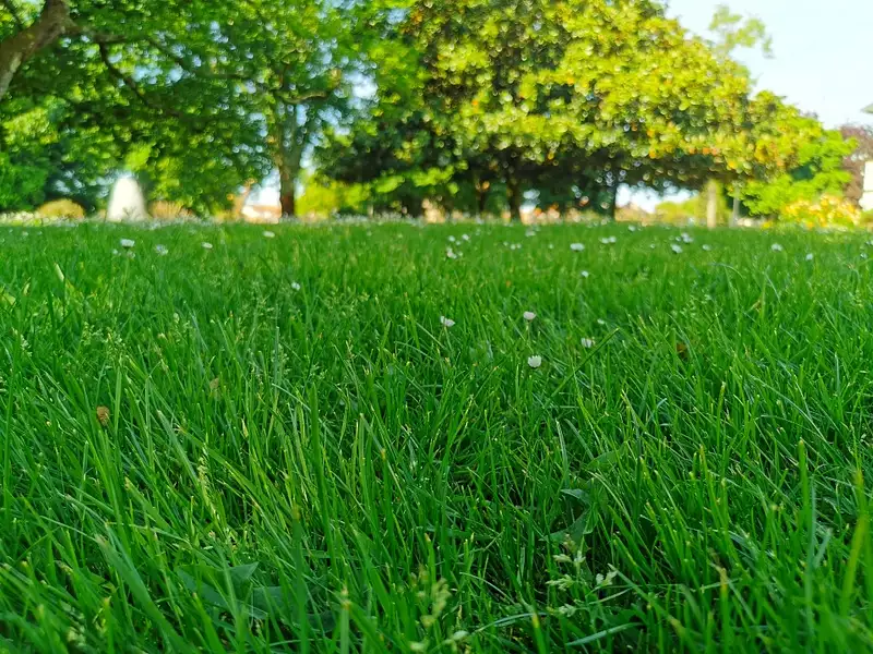 Terrain à bâtir, 400 m² - Hourtin (33990)