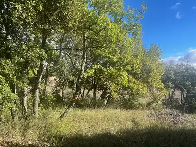 Maison neuve, 70 m²