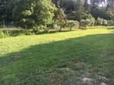 Terrain à bâtir, 642 m²