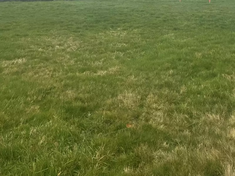 Terrain à bâtir, 696 m² - Couterne (61410)