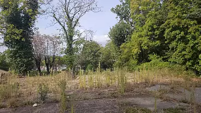 Terrain à bâtir, 884 m²