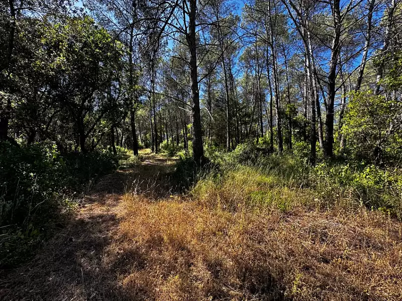 Terrain à bâtir, 1 545 m² - Fréjus (83600)