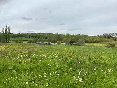 Terrain à bâtir, 750 m² - Pichanges (21120)