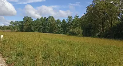 Maison neuve, 80 m²
