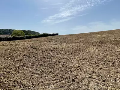 Terrain à bâtir - Castelculier (47240)