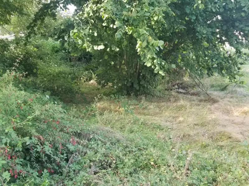 Terrain à bâtir, 770 m² - Saint-Germain-du-Puch (33750)