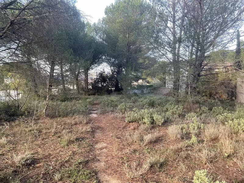 Terrain à bâtir, 901 m² - Alleins (13980)