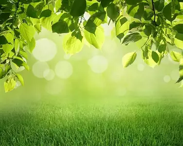 Terrain à bâtir, 680 m²