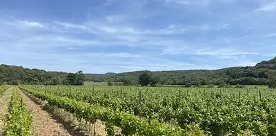 Maison neuve, 95 m²