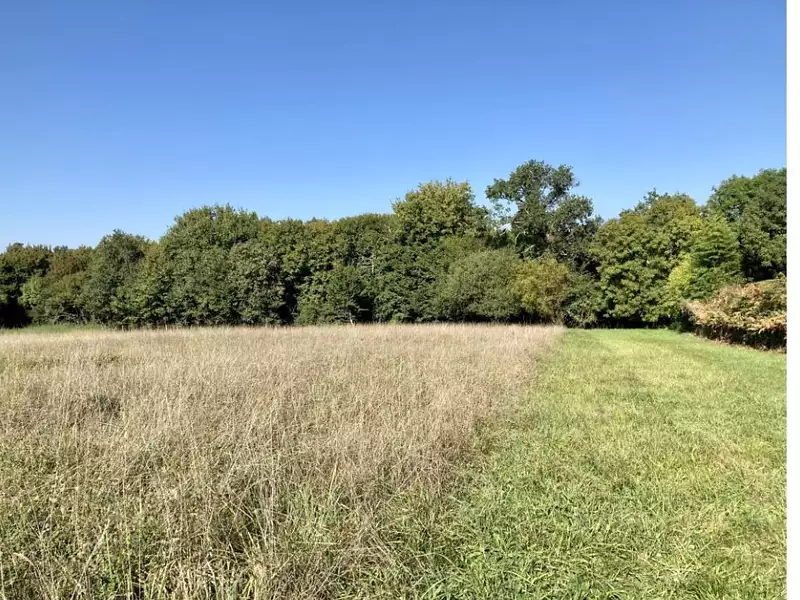 Terrain à bâtir, 950 m² - Bouliac (33270)