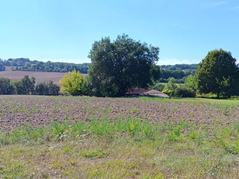 Terrain à bâtir, 952 m² - Cadalen (81600)