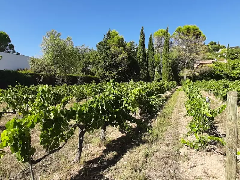 Terrain à bâtir, 914 m² - Draguignan (83300)