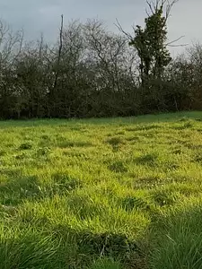 Terrain à bâtir, 629 m²