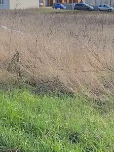 Maison neuve, 89 m²