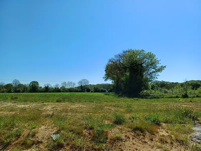 Terrain à bâtir, 370 m² - Mouilleron-le-Captif (85000)