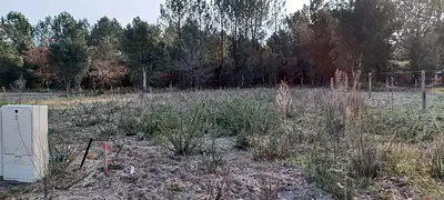 Terrain à bâtir, 587 m²