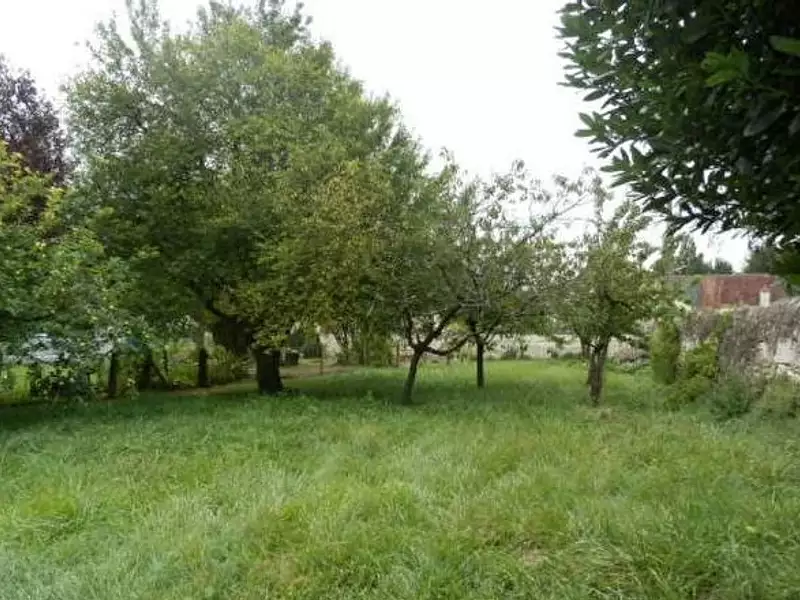 Terrain à bâtir, 420 m² - Druye (37190)