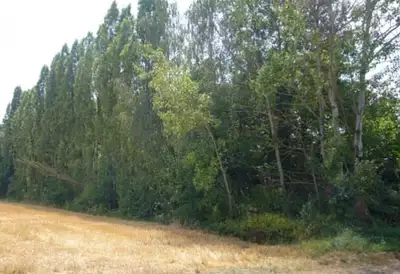 Maison neuve, 77 m²