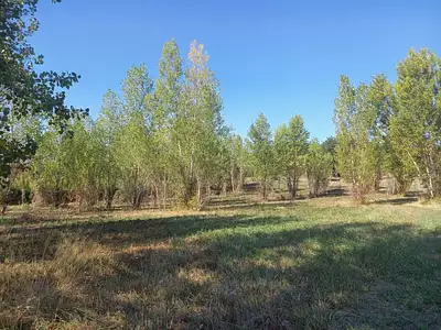 Maison neuve, 112 m²