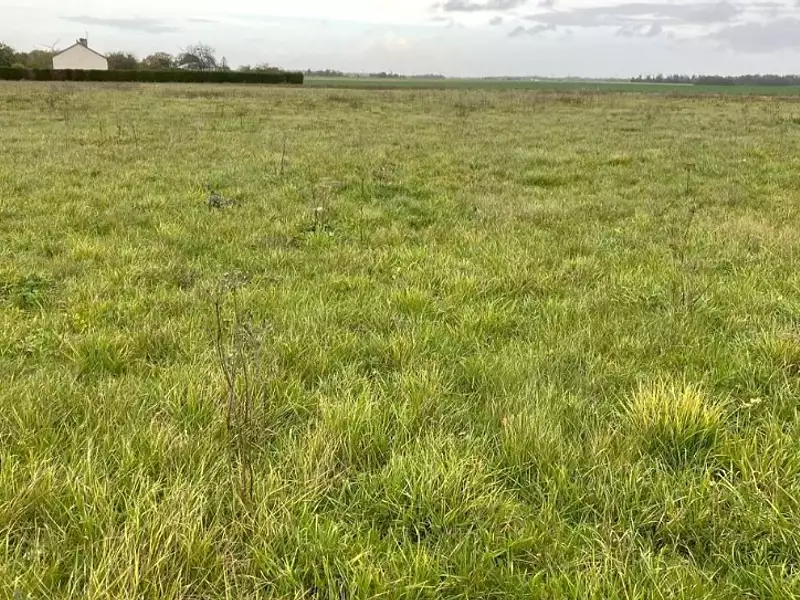 Terrain à bâtir, 5 337 m² - Damville (27240)