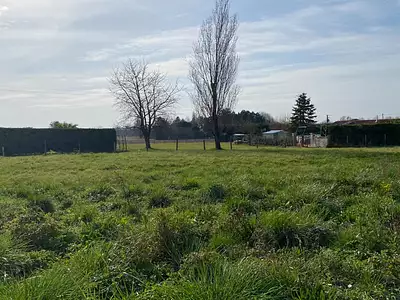 Maison neuve, 84 m²