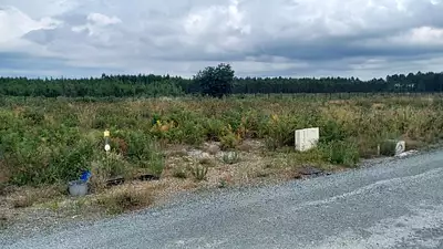 Maison neuve, 80 m²