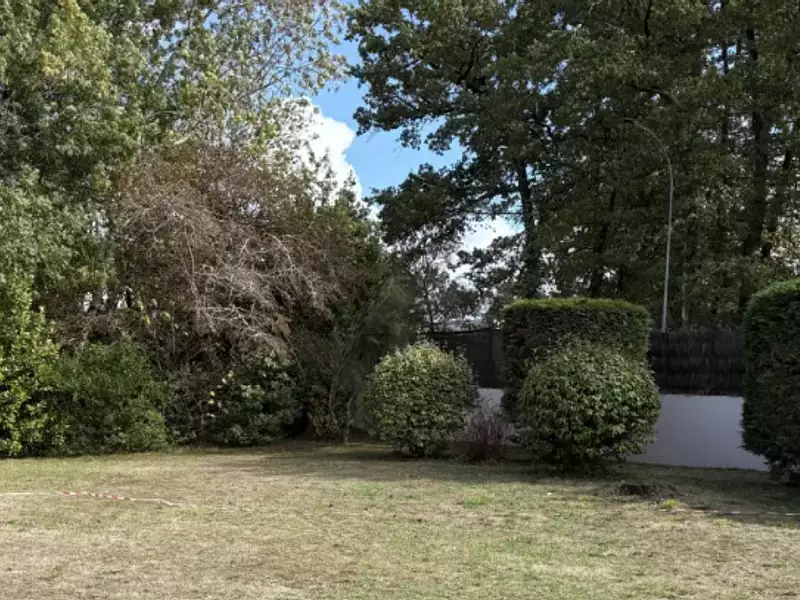 Maison neuve, 49 m² - Baron (33750)