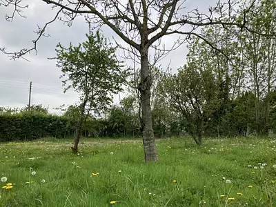 Terrain à bâtir, 606 m²