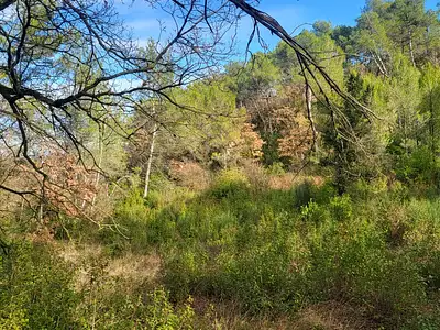 Maison neuve, 170 m²