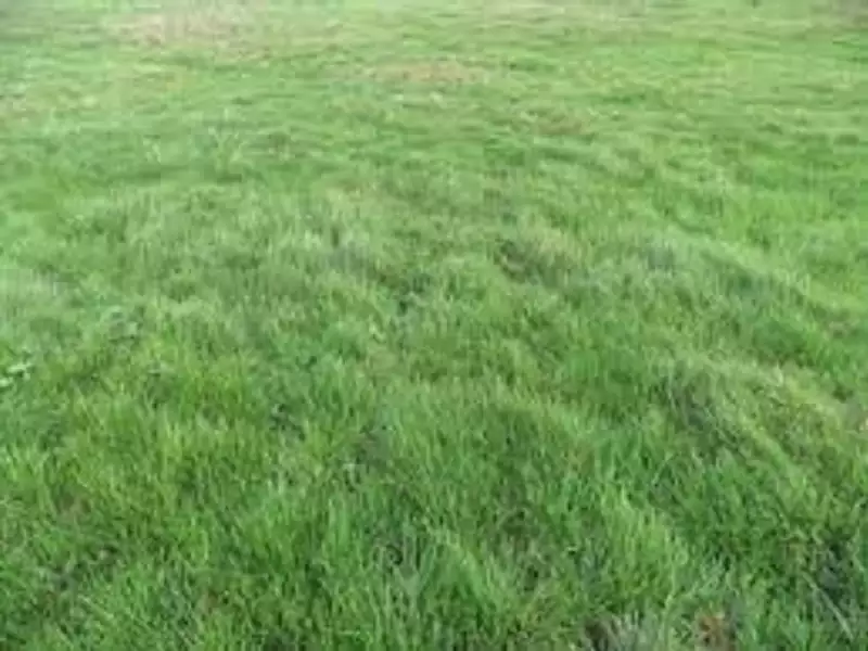 Terrain à bâtir, 844 m² - Saint-Fargeau-Ponthierry (77310)
