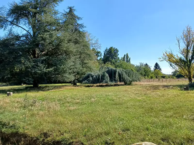 Terrain à bâtir, 2 038 m² - La Chapelle-Saint-Sépulcre (45210)