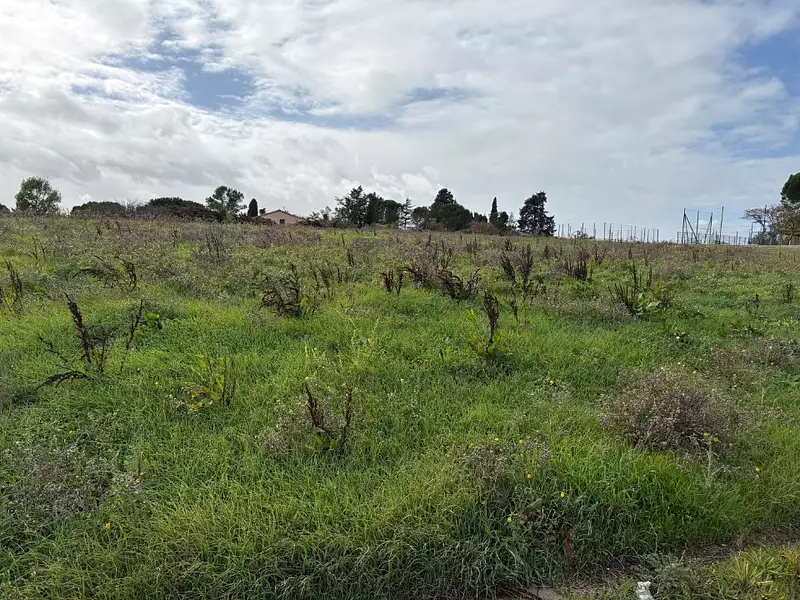 Terrain à bâtir, 1 024 m² - Bazus (31380)