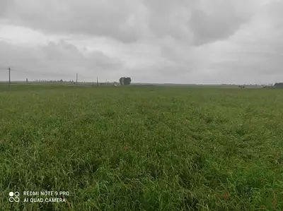 Terrain à bâtir, 702 m²