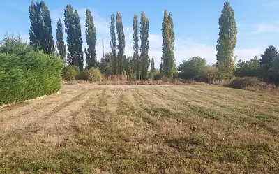 Terrain à bâtir, 1 297 m²