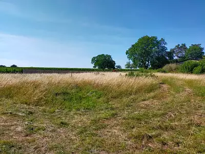 Terrain à bâtir, 730 m²