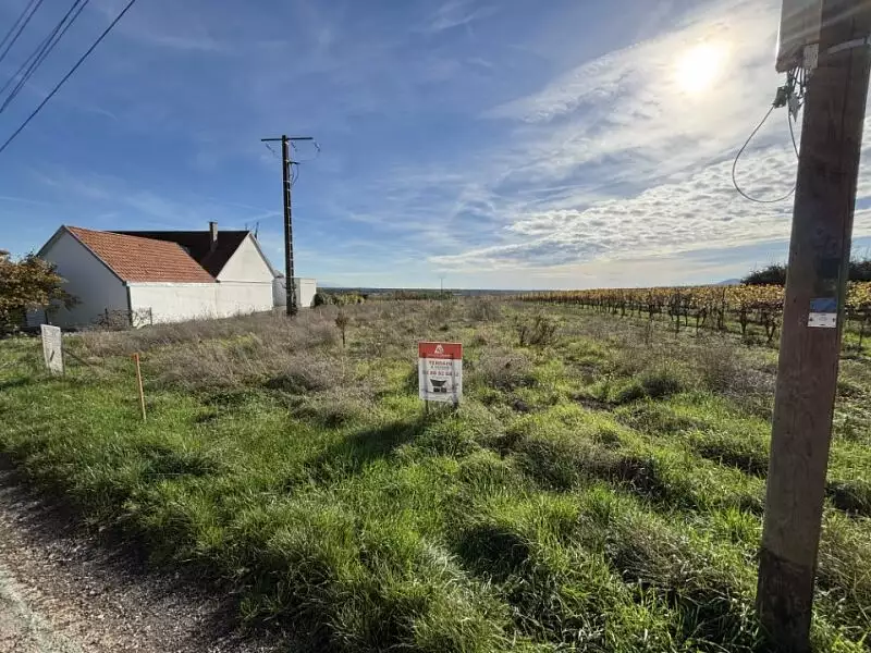 Terrain à bâtir, 456 m² - Epfig (67680)