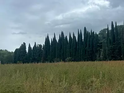 Maison neuve, 98 m²