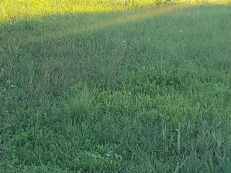 Terrain à bâtir, 600 m² - La Valette-du-Var (83160)