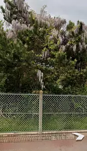 Maison neuve, 89 m²