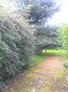 Maison neuve, 140 m²