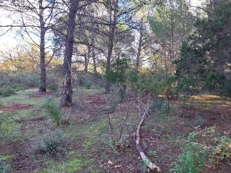 Terrain à bâtir, 656 m² - Puget-sur-Argens (83480)