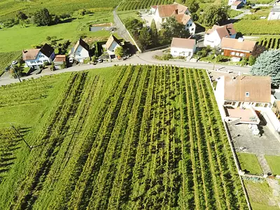 Terrain à bâtir, 2 723 m²