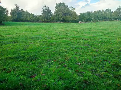 Terrain à bâtir, 800 m²