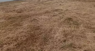 Terrain à bâtir, 658 m²