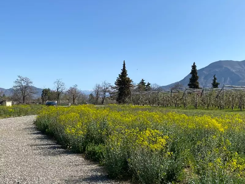 Terrain à bâtir, 766 m² - Ventavon (05300)