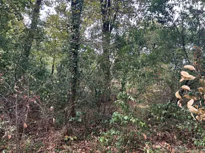 Terrain à bâtir, 1 700 m²