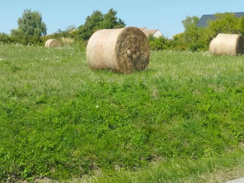 Terrain à bâtir, 4 000 m² - Allériot (71380)