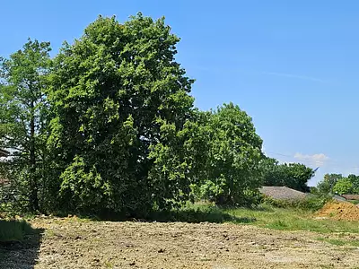 Maison neuve, 90 m²